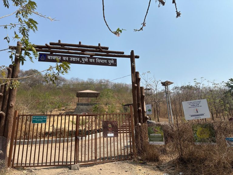 नगरसेवक वेडेपाटील यांच्या पुढाकाराने बावधन येथील उद्यानाचा वीज पुरवठा सुरळीत