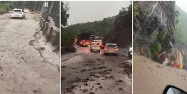 पुण्यात पावसाचा हाहाकार ! दिवेघाटात धबधब्यांचे रौद्र रूप, पिंपरीत वाहने वाहून गेली; गेस्ट हाऊसही जलमय