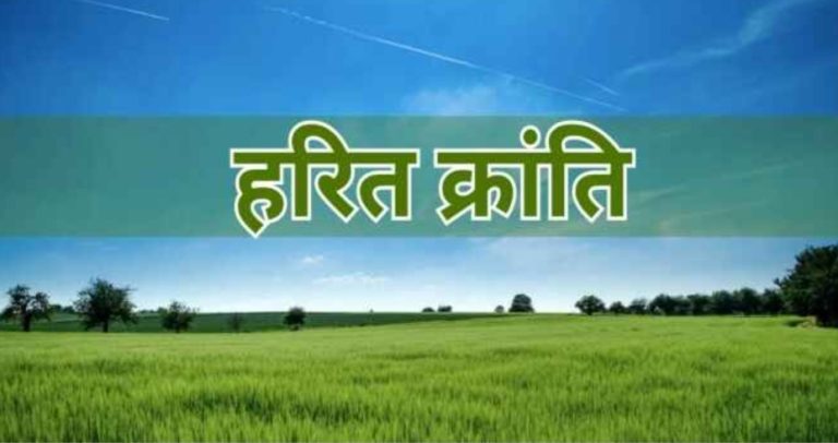 हरित ऊर्जेला गती द्या! ऊर्जा प्रकल्प वेळेत पूर्ण करा; मुख्यमंत्री फडणवीस यांचे आदेश