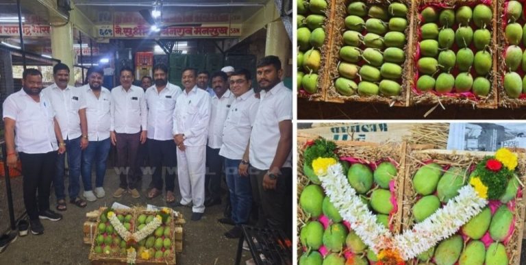 फळांचा राजा पुण्याच्या बाजारात दाखल! एका पेटीची किंमत तब्बल १५ हजार
